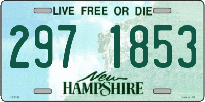 NH license plate 2971853