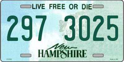 NH license plate 2973025