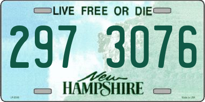 NH license plate 2973076