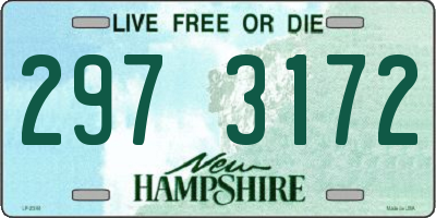 NH license plate 2973172