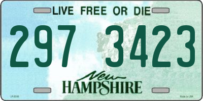 NH license plate 2973423