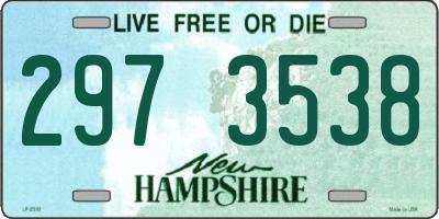 NH license plate 2973538