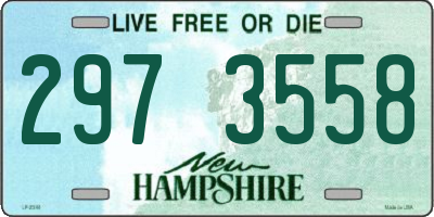 NH license plate 2973558