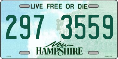 NH license plate 2973559