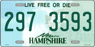 NH license plate 2973593