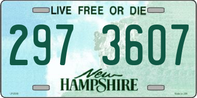NH license plate 2973607