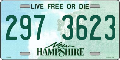 NH license plate 2973623