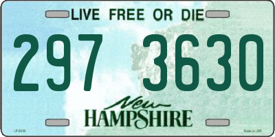 NH license plate 2973630