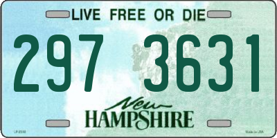 NH license plate 2973631