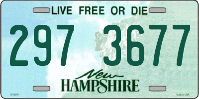 NH license plate 2973677