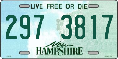 NH license plate 2973817
