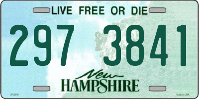 NH license plate 2973841