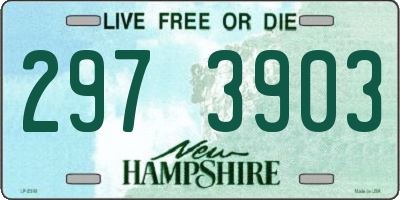 NH license plate 2973903