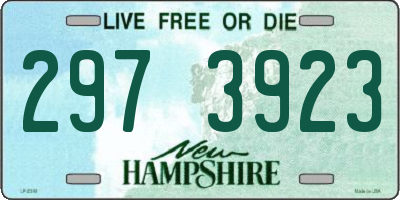 NH license plate 2973923