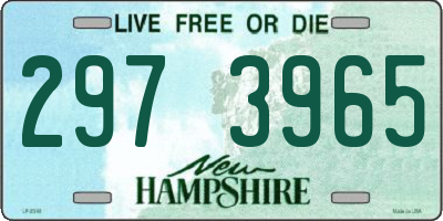 NH license plate 2973965