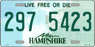 NH license plate 2975423