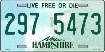 NH license plate 2975473