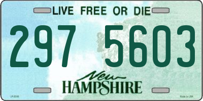 NH license plate 2975603