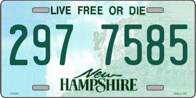 NH license plate 2977585