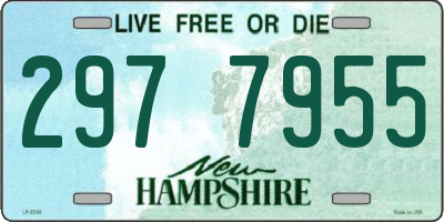 NH license plate 2977955