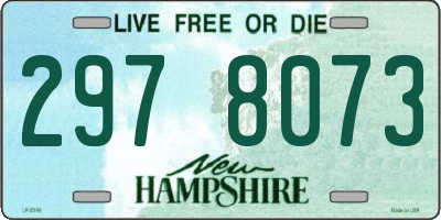 NH license plate 2978073