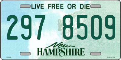 NH license plate 2978509