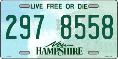 NH license plate 2978558