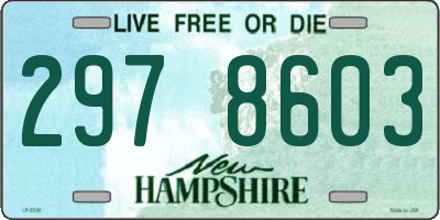 NH license plate 2978603