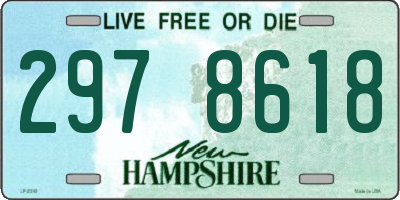 NH license plate 2978618