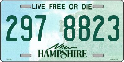NH license plate 2978823