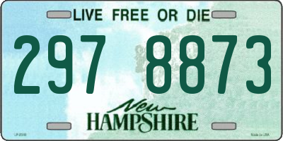 NH license plate 2978873
