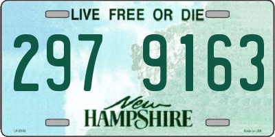 NH license plate 2979163