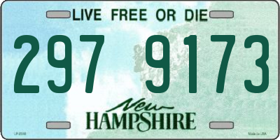 NH license plate 2979173