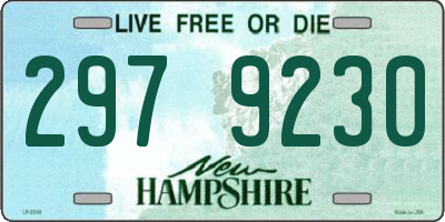 NH license plate 2979230