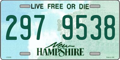 NH license plate 2979538