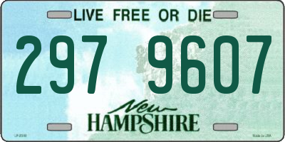 NH license plate 2979607