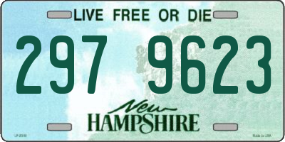 NH license plate 2979623