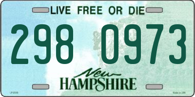 NH license plate 2980973