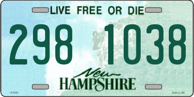 NH license plate 2981038