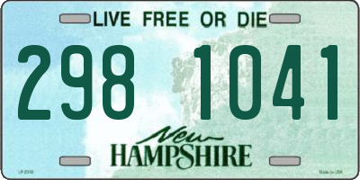 NH license plate 2981041