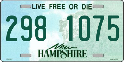 NH license plate 2981075