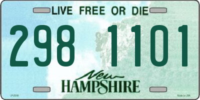 NH license plate 2981101