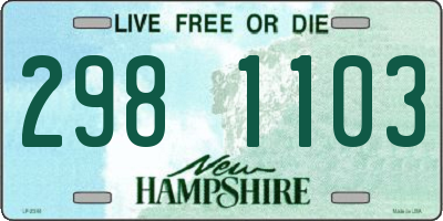 NH license plate 2981103
