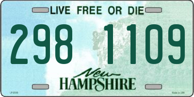 NH license plate 2981109