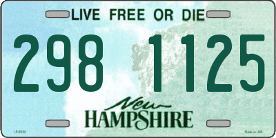 NH license plate 2981125