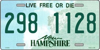 NH license plate 2981128
