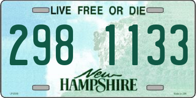 NH license plate 2981133