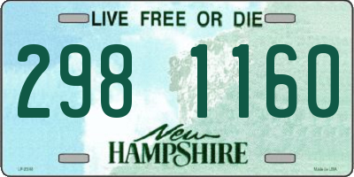NH license plate 2981160