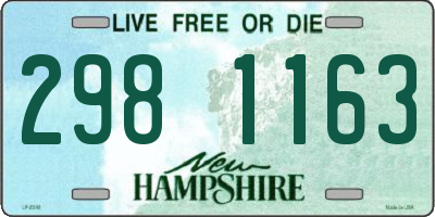 NH license plate 2981163