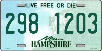 NH license plate 2981203